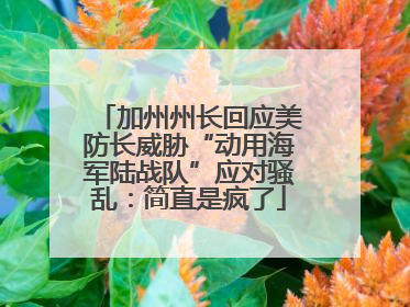 加州州长回应美防长威胁“动用海军陆战队”应对骚乱：简直是疯了