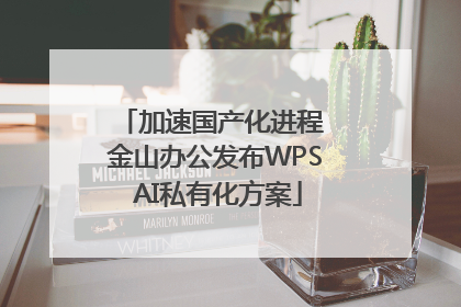 加速国产化进程 金山办公发布WPS AI私有化方案