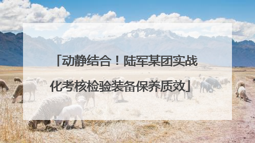 动静结合！陆军某团实战化考核检验装备保养质效