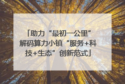 助力“最初一公里” 解码算力小镇“服务+科技+生态”创新范式