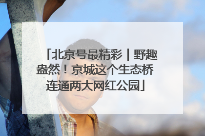 北京号最精彩｜野趣盎然！京城这个生态桥连通两大网红公园