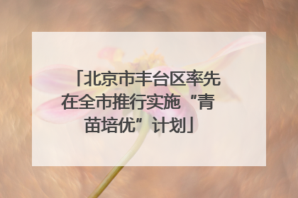 北京市丰台区率先在全市推行实施“青苗培优”计划