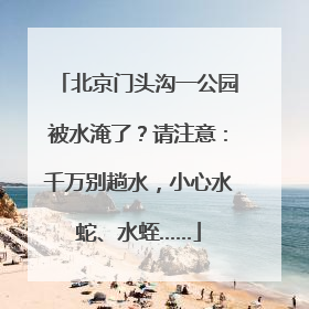 北京门头沟一公园被水淹了？请注意：千万别趟水，小心水蛇、水蛭……