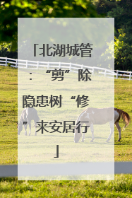 北湖城管：“剪”除隐患树“修”来安居行