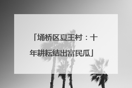 埇桥区夏王村：十年耕耘结出富民瓜