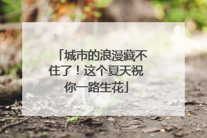 城市的浪漫藏不住了！这个夏天祝你一路生花