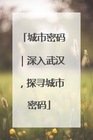 城市密码｜深入武汉，探寻城市密码