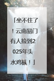 坐不住了！云南易门有人捡到2025年头水鸡枞！