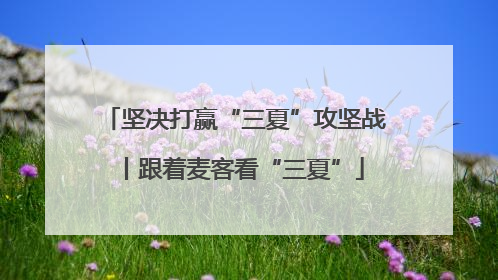 坚决打赢“三夏”攻坚战丨跟着麦客看“三夏”