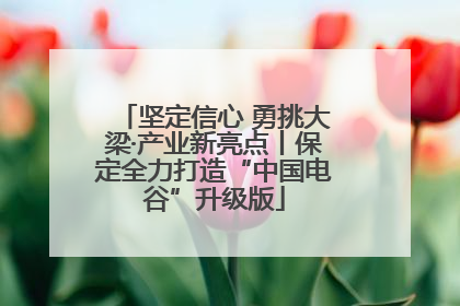 坚定信心 勇挑大梁·产业新亮点丨保定全力打造“中国电谷”升级版