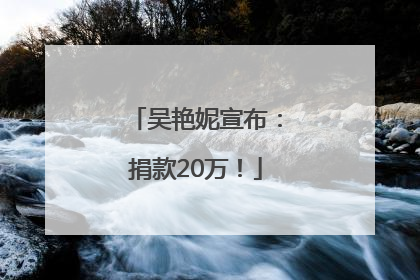 吴艳妮宣布：捐款20万！