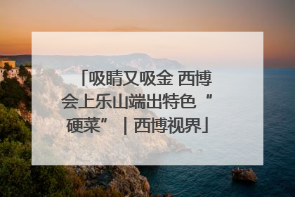 吸睛又吸金 西博会上乐山端出特色“硬菜”｜西博视界