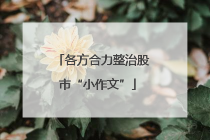 各方合力整治股市“小作文”