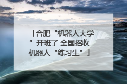 合肥“机器人大学”开班了 全国招收机器人“练习生”