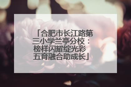 合肥市长江路第三小学兰亭分校：榜样闪耀绽光彩 五育融合助成长