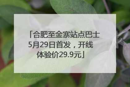 合肥至金寨站点巴士5月29日首发，开线体验价29.9元