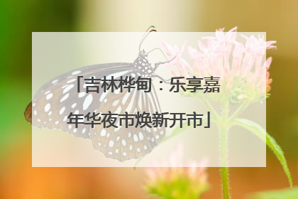 吉林桦甸：乐享嘉年华夜市焕新开市