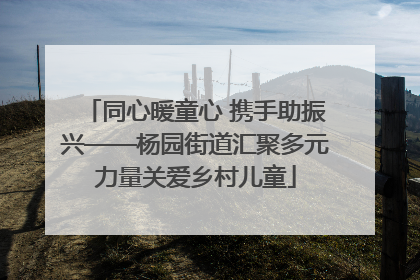 同心暖童心 携手助振兴——杨园街道汇聚多元力量关爱乡村儿童