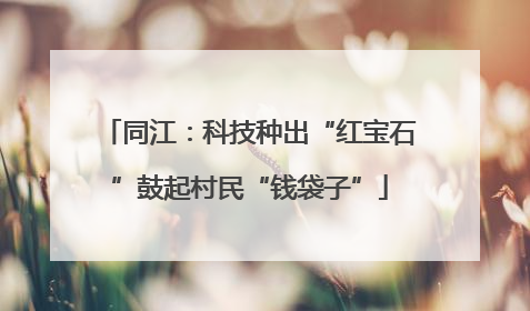 同江：科技种出“红宝石”鼓起村民“钱袋子”