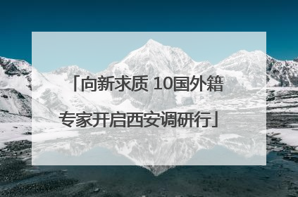 向新求质 10国外籍专家开启西安调研行