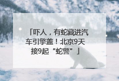 吓人，有蛇藏进汽车引擎盖！北京9天接9起“蛇警”
