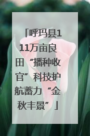呼玛县111万亩良田“播种收官”科技护航蓄力“金秋丰景”