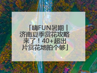 嗨FUN暑期丨济南夏季赏花攻略来了！40+超出片赏花地拍个够