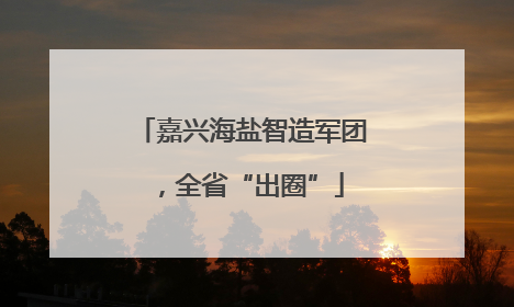 嘉兴海盐智造军团，全省“出圈”