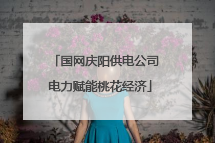 国网庆阳供电公司电力赋能桃花经济