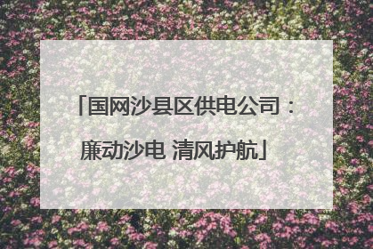 国网沙县区供电公司：廉动沙电 清风护航