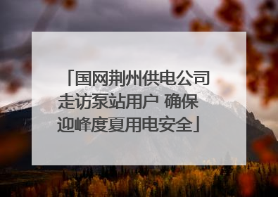 国网荆州供电公司走访泵站用户 确保迎峰度夏用电安全