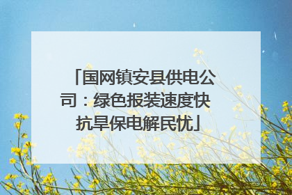 国网镇安县供电公司：绿色报装速度快 抗旱保电解民忧