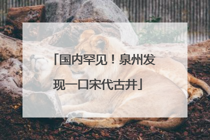 国内罕见！泉州发现一口宋代古井
