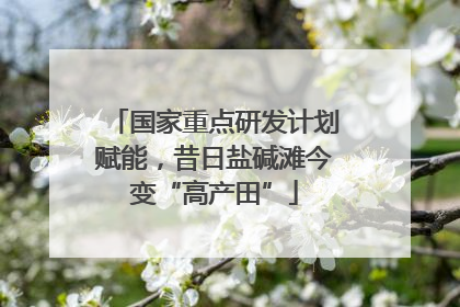 国家重点研发计划赋能，昔日盐碱滩今变“高产田”