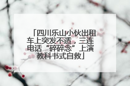 四川乐山小伙出租车上突发不适，三连电话“碎碎念”上演教科书式自救