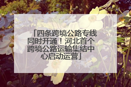 四条跨境公路专线同时开通！河北首个跨境公路运输集结中心启动运营