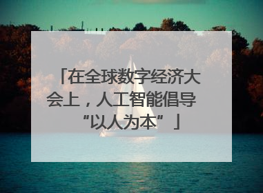 在全球数字经济大会上，人工智能倡导“以人为本”