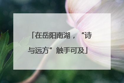在岳阳南湖，“诗与远方”触手可及