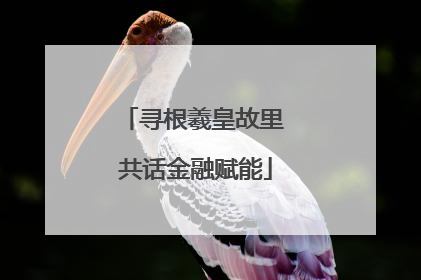 寻根羲皇故里 共话金融赋能