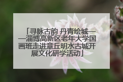 寻脉古韵 丹青绘城——淄博高新区老年大学国画班走进章丘明水古城开展文化研学活动