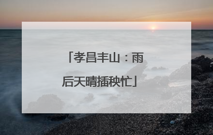孝昌丰山：雨后天晴插秧忙