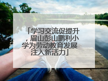 学习交流促提升，眉山彭山鹏利小学为劳动教育发展注入新活力