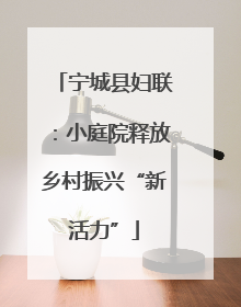 宁城县妇联：小庭院释放乡村振兴“新活力”