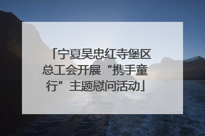 宁夏吴忠红寺堡区总工会开展“携手童行”主题慰问活动