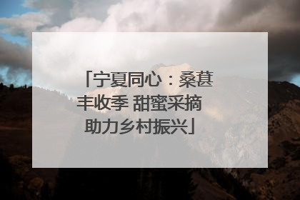 宁夏同心：桑葚丰收季 甜蜜采摘助力乡村振兴