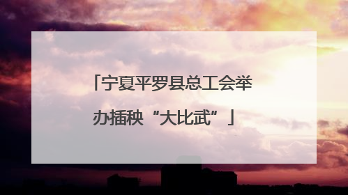 宁夏平罗县总工会举办插秧“大比武”