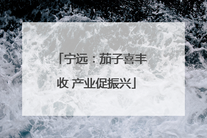 宁远：茄子喜丰收 产业促振兴