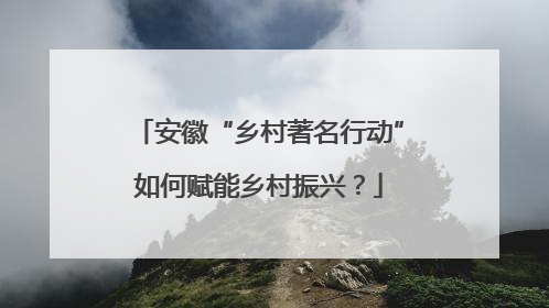 安徽“乡村著名行动”如何赋能乡村振兴？