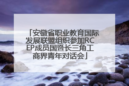安徽省职业教育国际发展联盟组织参加RCEP成员国暨长三角工商界青年对话会