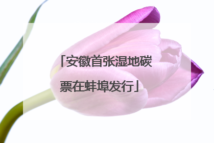 安徽首张湿地碳票在蚌埠发行